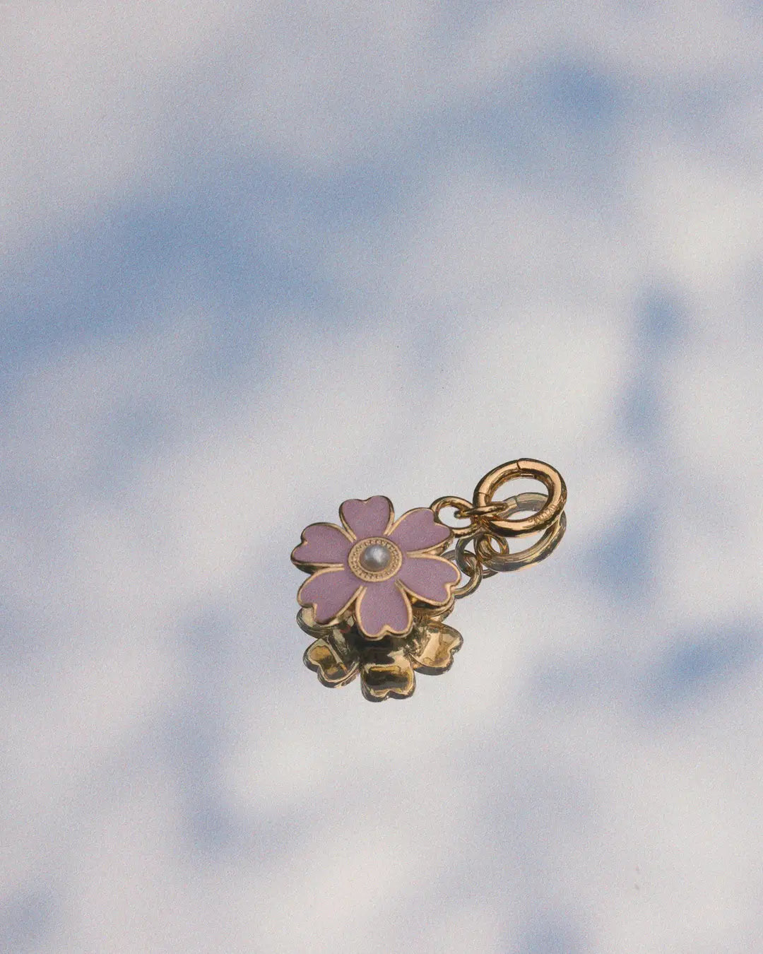 The Flower Blush