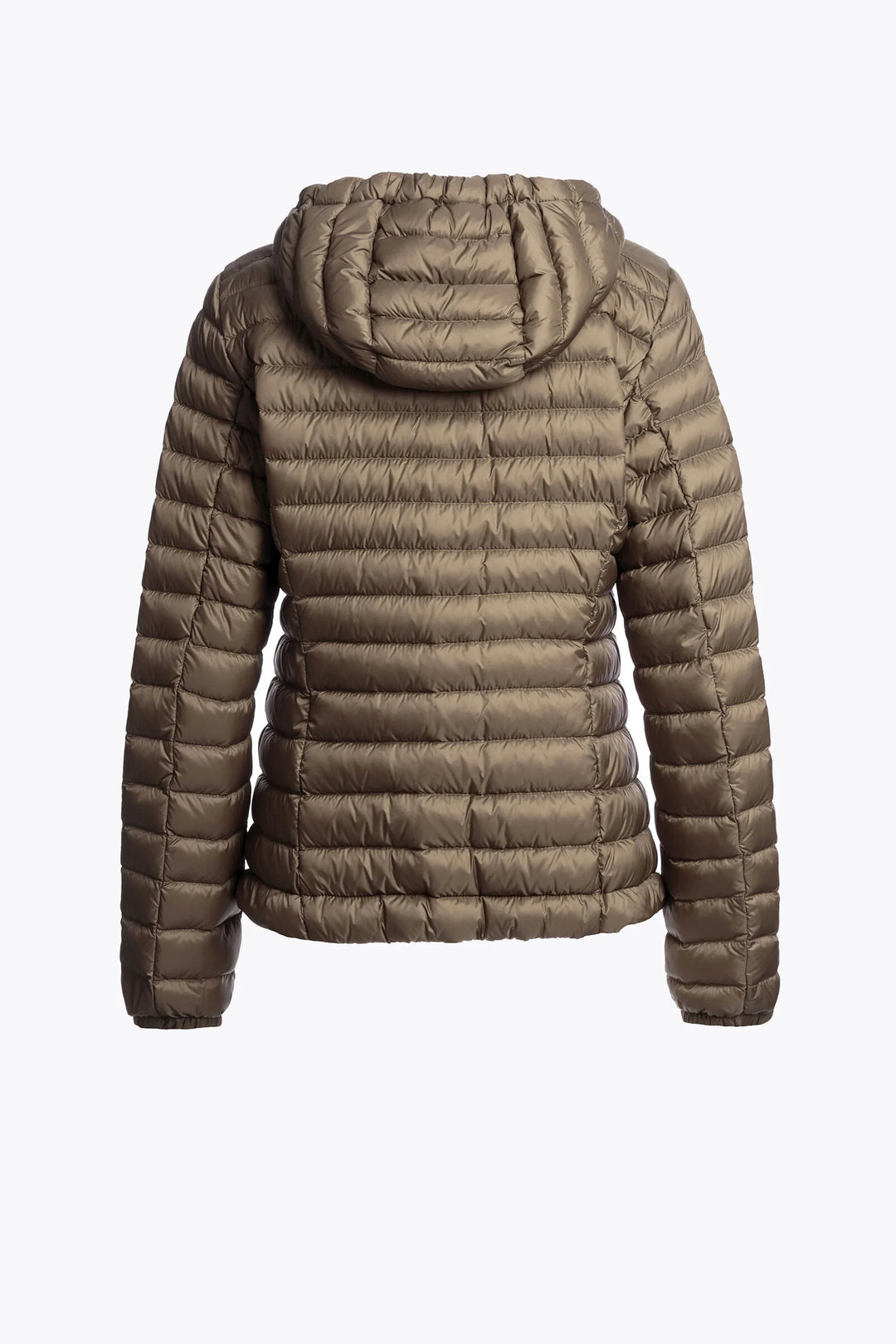 Genie Jacket Olive Brown