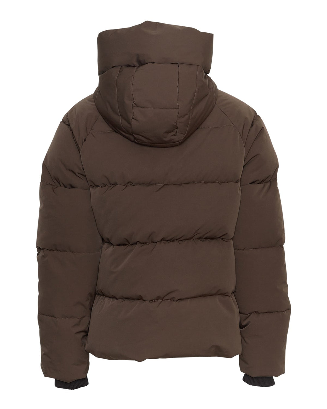 Pavine Down Short Jacket Hot Fudge