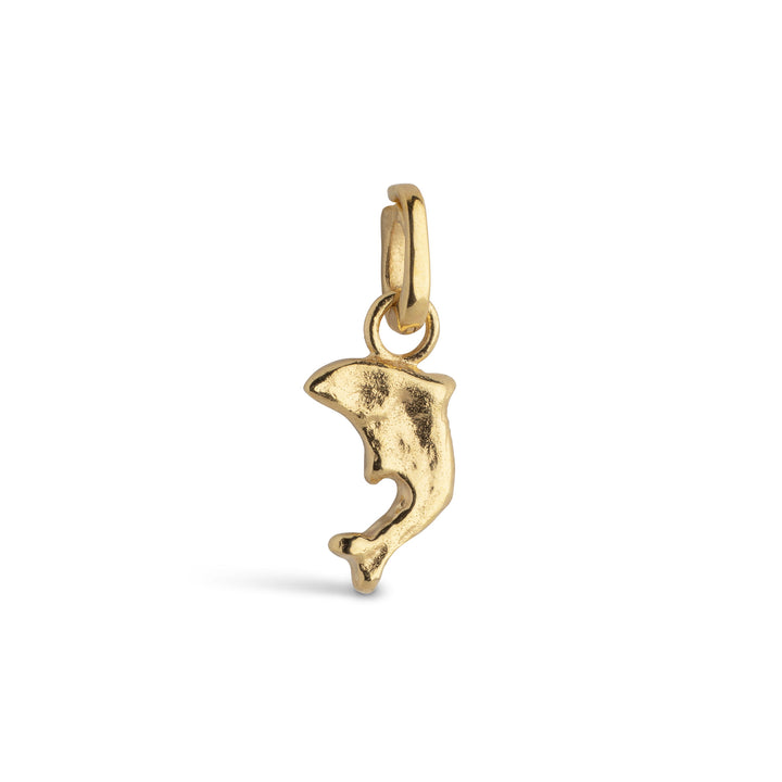 Charm Joyful Dolphin