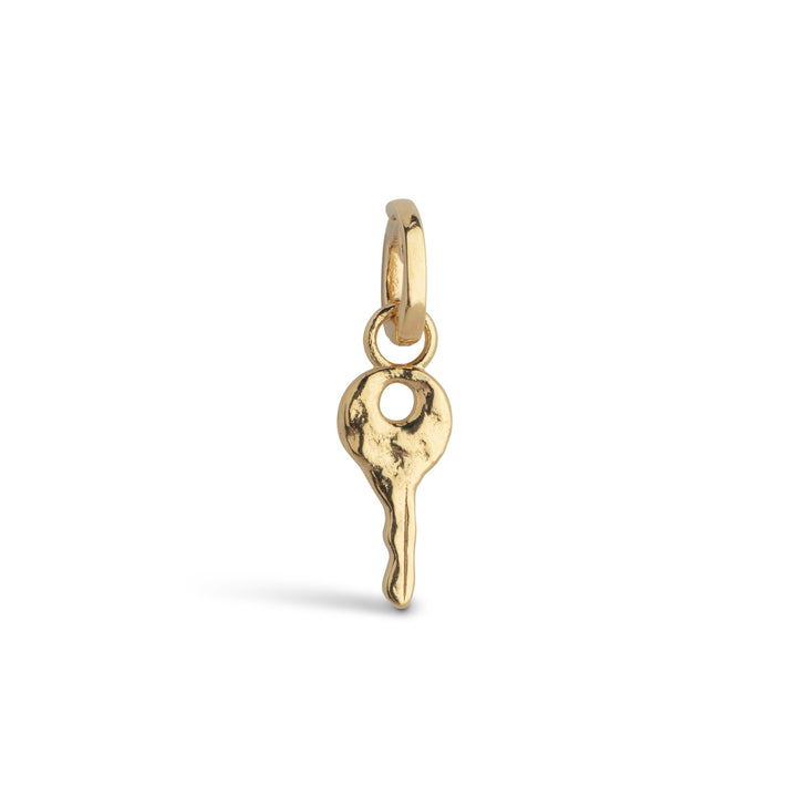 Charm Magic Key