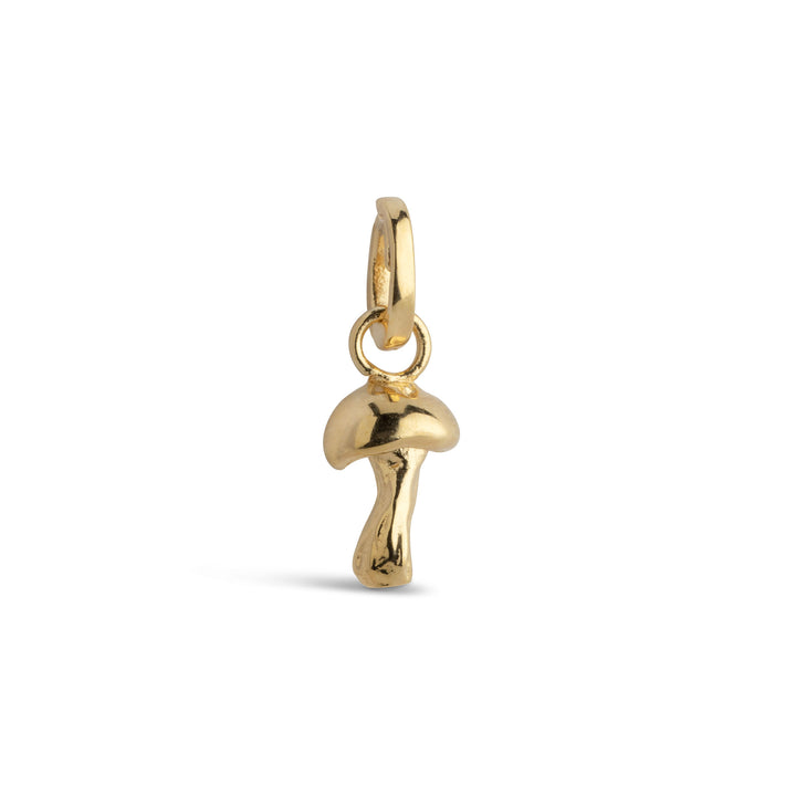 Charm Adventurous Mushroom