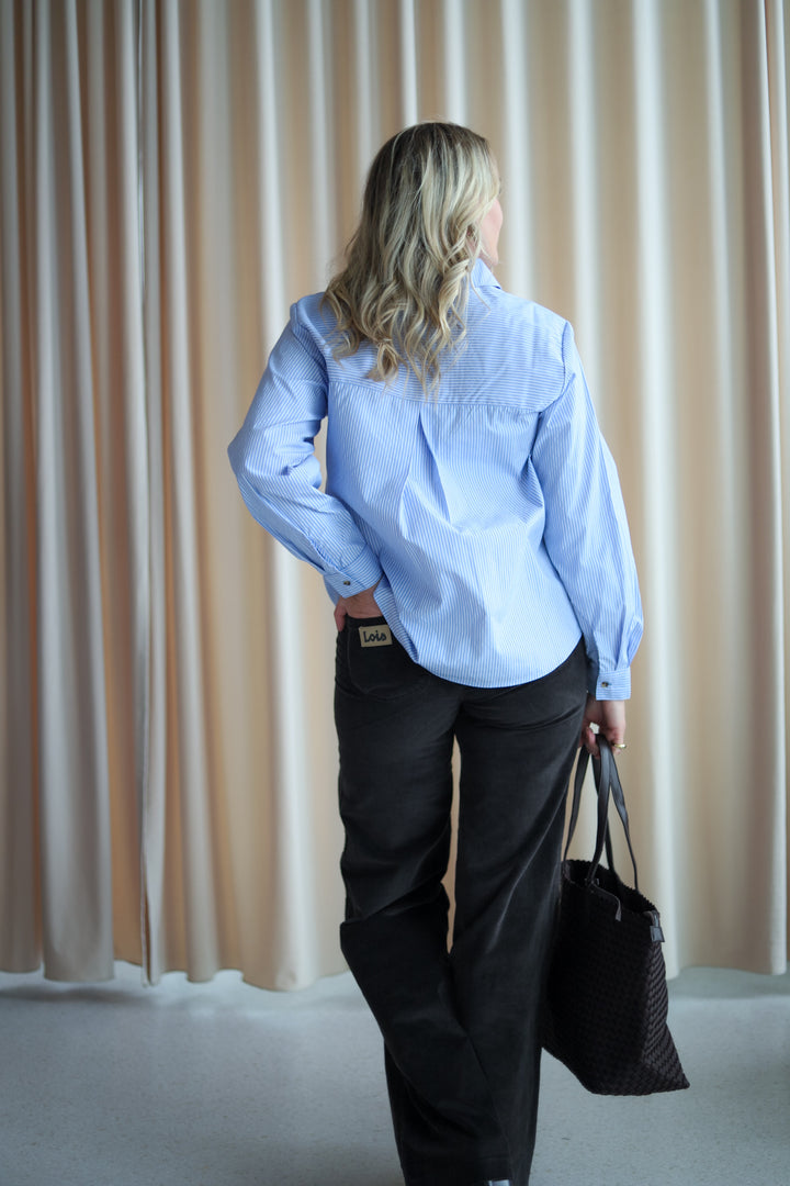 Palazzo Mistral Chocolate Brown