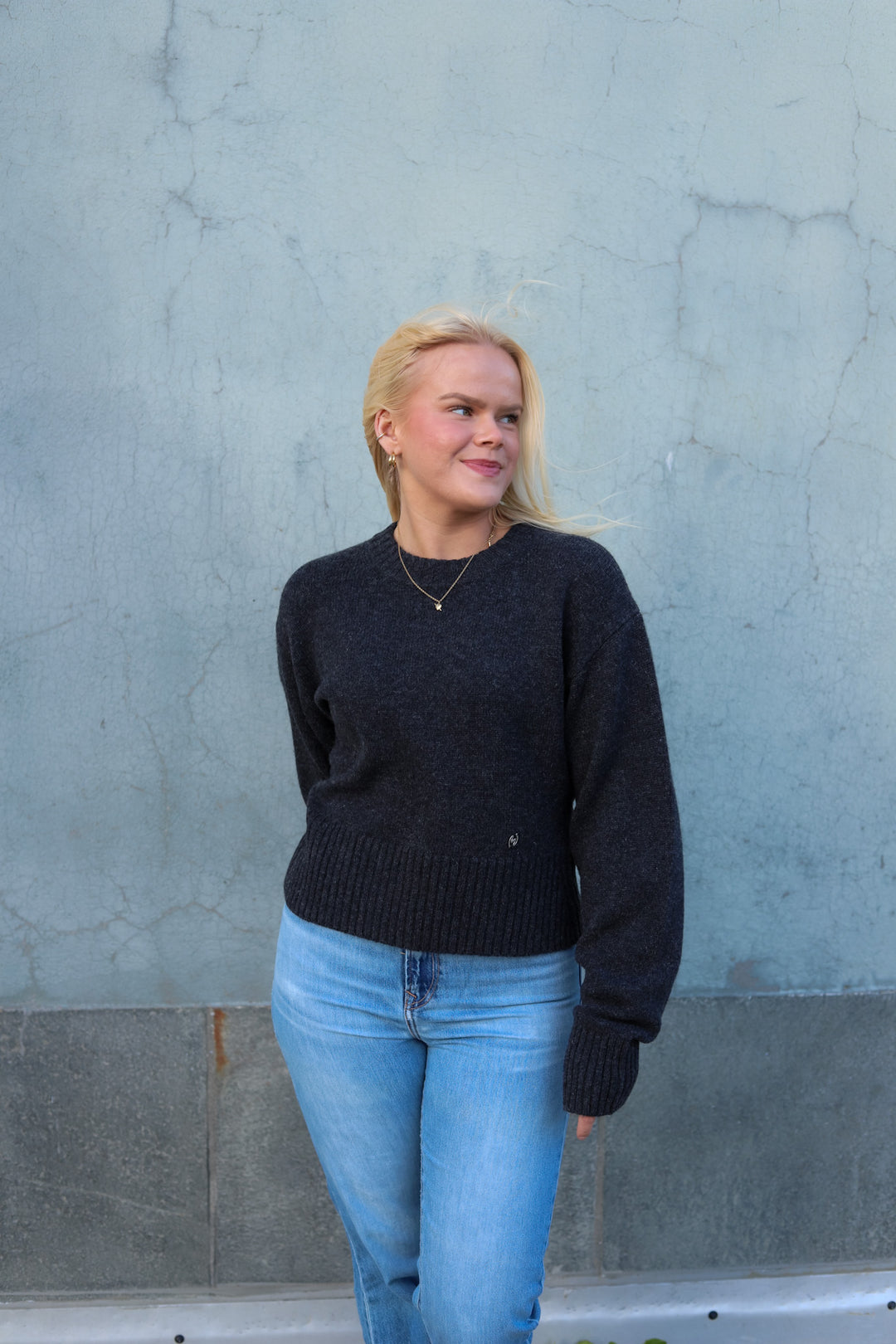 Julia Cropped Crewneck Dk. Grey