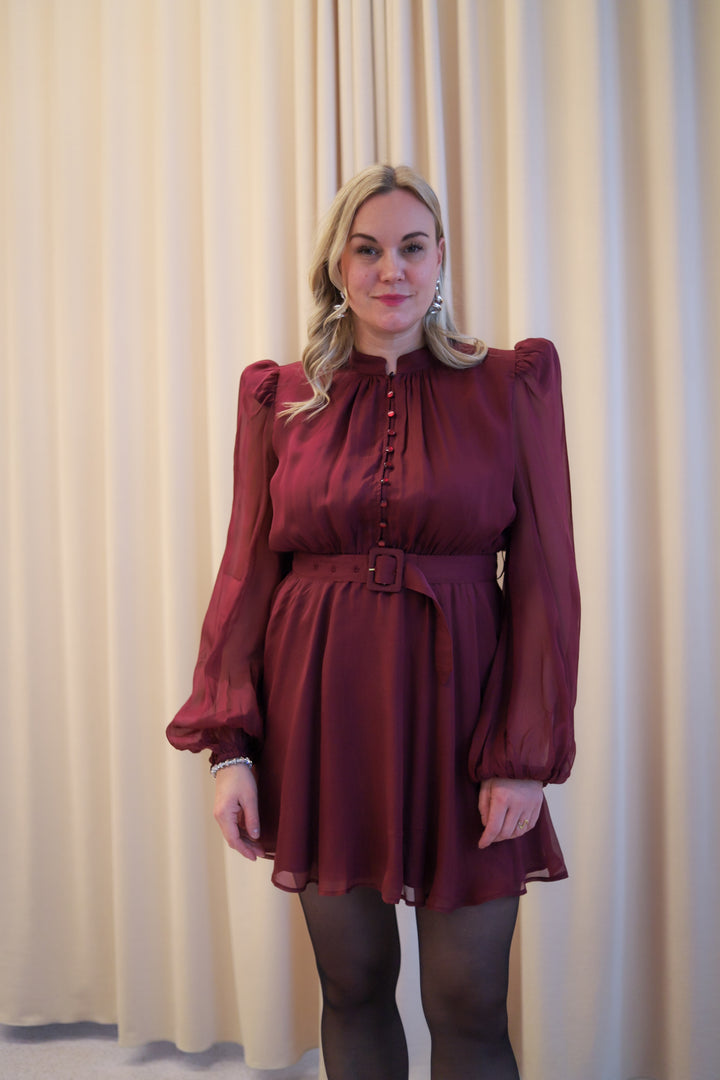 Organza Mini Dress Burgundy