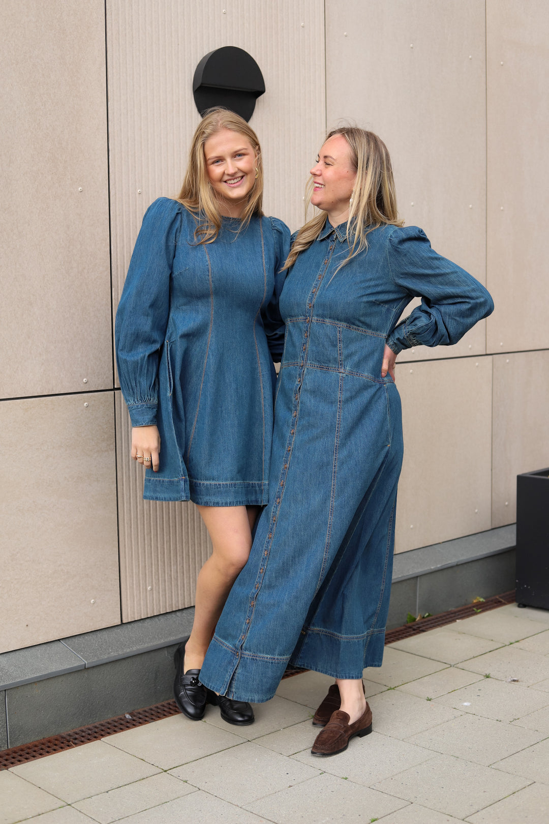 Denim Button-Down Dress French Blue