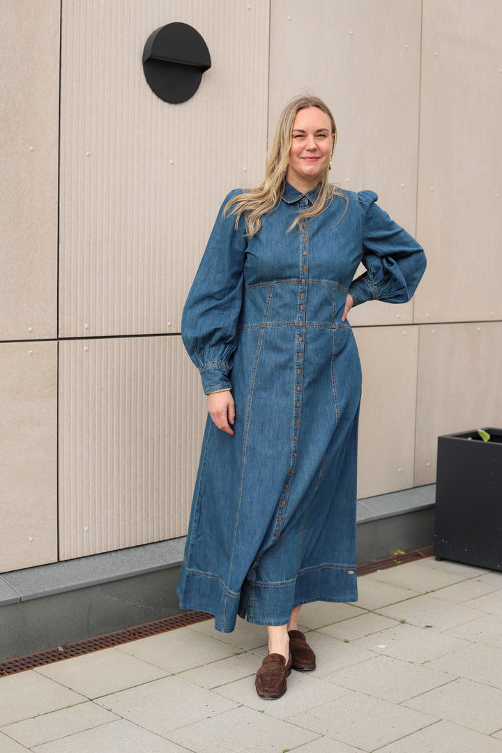 Denim Button-Down Dress French Blue