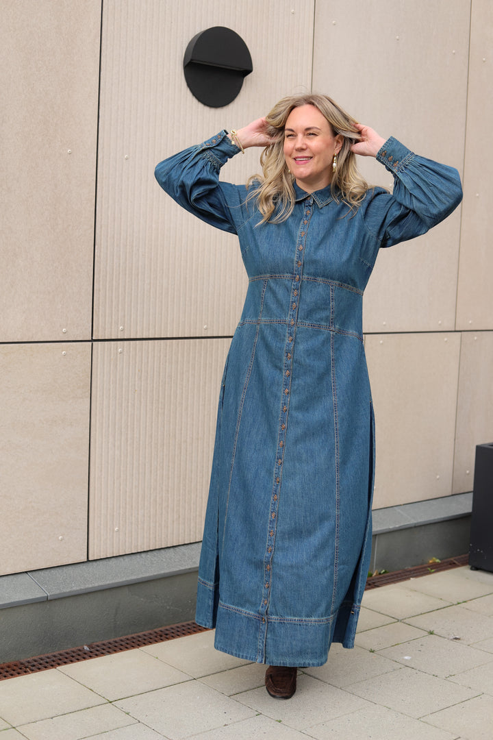 Denim Button-Down Dress French Blue