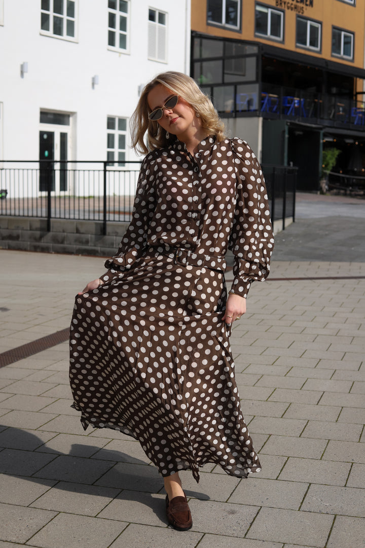 Striped Organza Blouse Dots