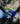 Pearl Octopuss.y x Sleepers The Formentera Sandal Luminous Blue