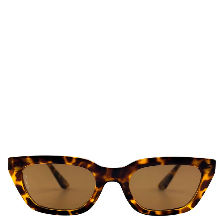 Nove Tort/Brown