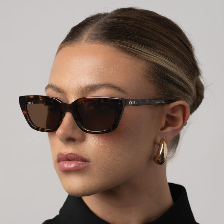 Nove Tort/Brown