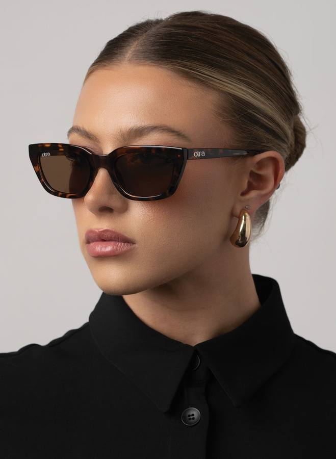 Nove Tort/Brown